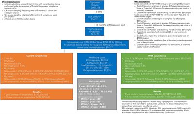 Perspective: the potential of wastewater-based surveillance as an economically feasible game changer in reducing the global burden of pediatric respiratory syncytial virus infection